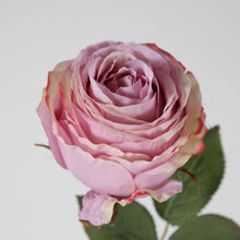 Load image into Gallery viewer, Rose stem in Liliac
